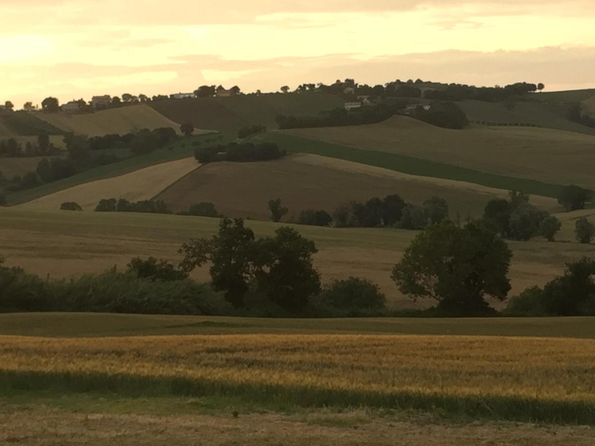 Il Giardino Nella Valle Belvedere Ostrense Dış mekan fotoğraf