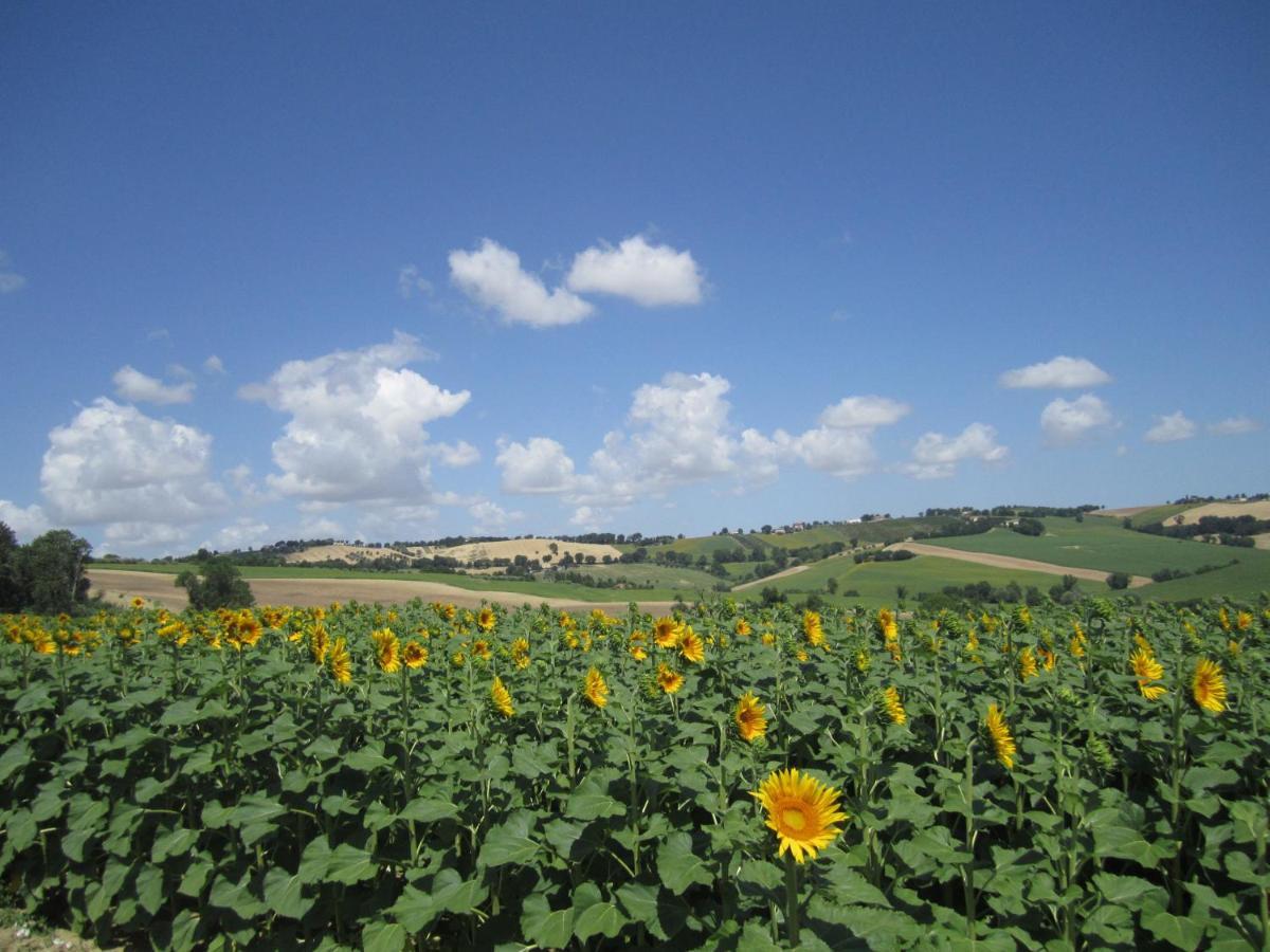 Il Giardino Nella Valle Belvedere Ostrense Dış mekan fotoğraf
