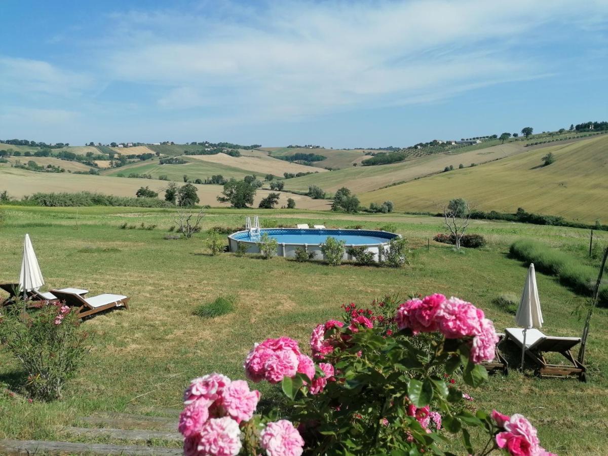 Il Giardino Nella Valle Belvedere Ostrense Dış mekan fotoğraf