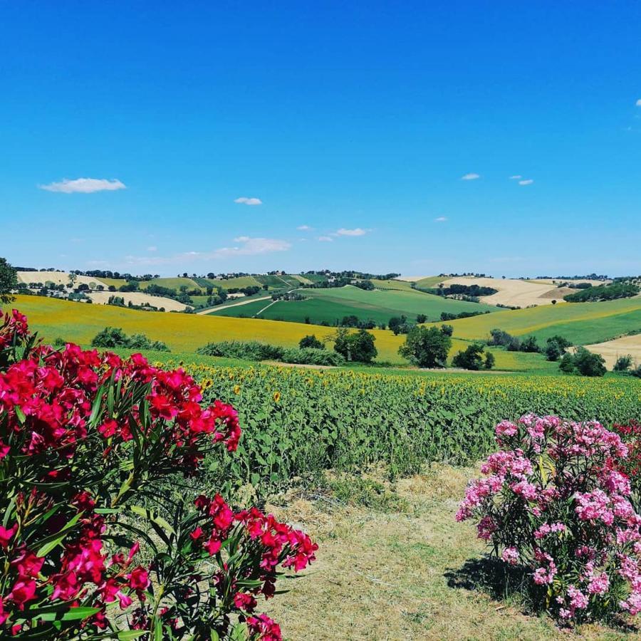 Il Giardino Nella Valle Belvedere Ostrense Dış mekan fotoğraf