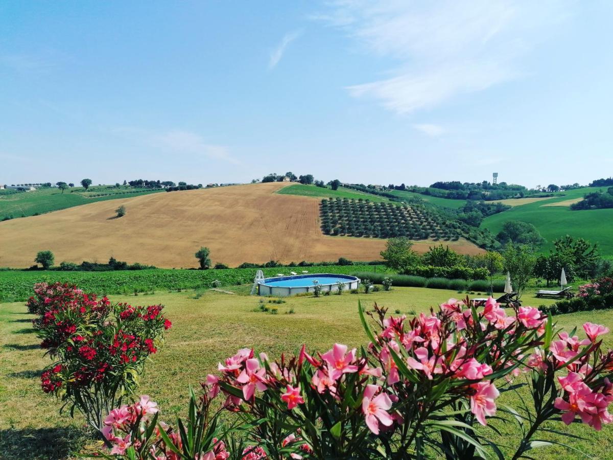 Il Giardino Nella Valle Belvedere Ostrense Dış mekan fotoğraf