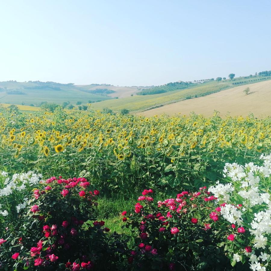 Il Giardino Nella Valle Belvedere Ostrense Dış mekan fotoğraf