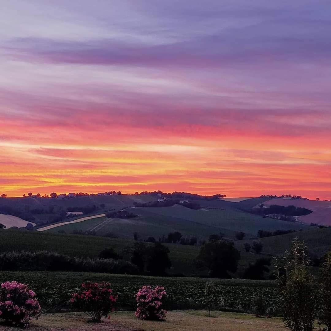 Il Giardino Nella Valle Belvedere Ostrense Dış mekan fotoğraf