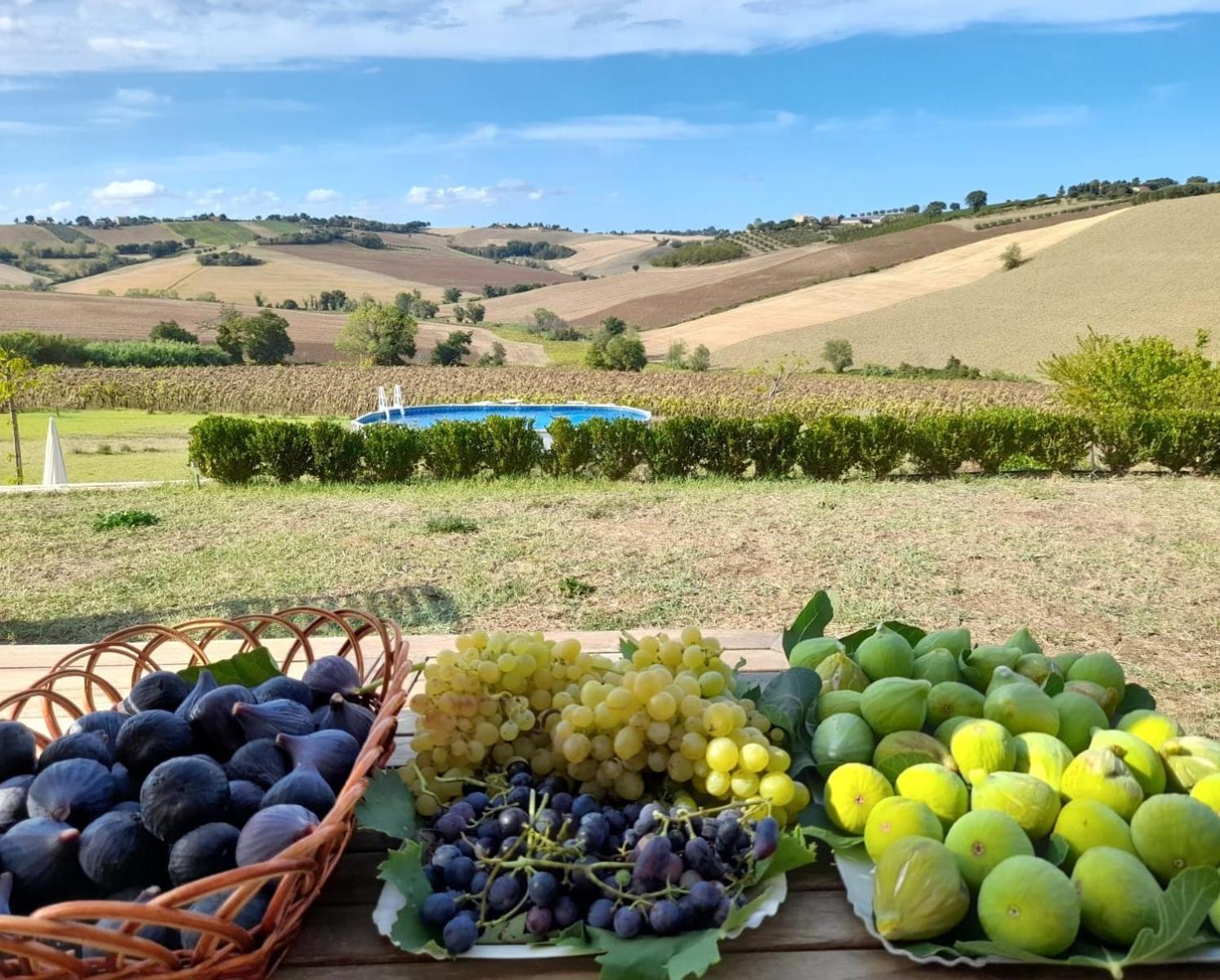 Il Giardino Nella Valle Belvedere Ostrense Dış mekan fotoğraf