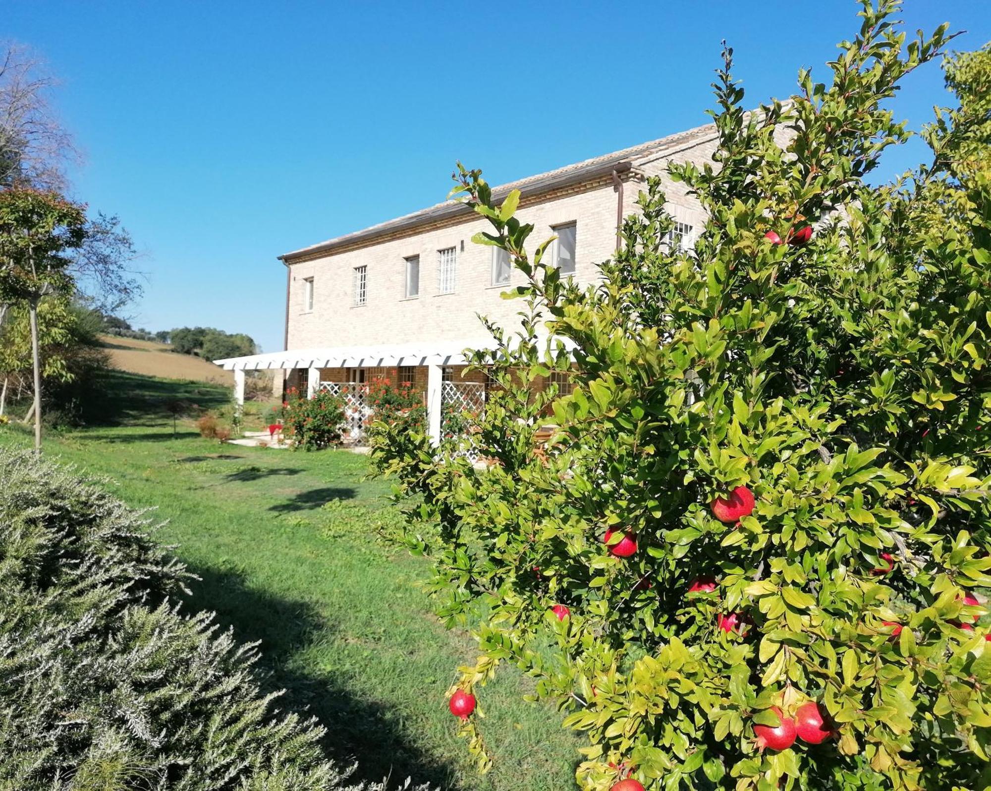 Il Giardino Nella Valle Belvedere Ostrense Dış mekan fotoğraf