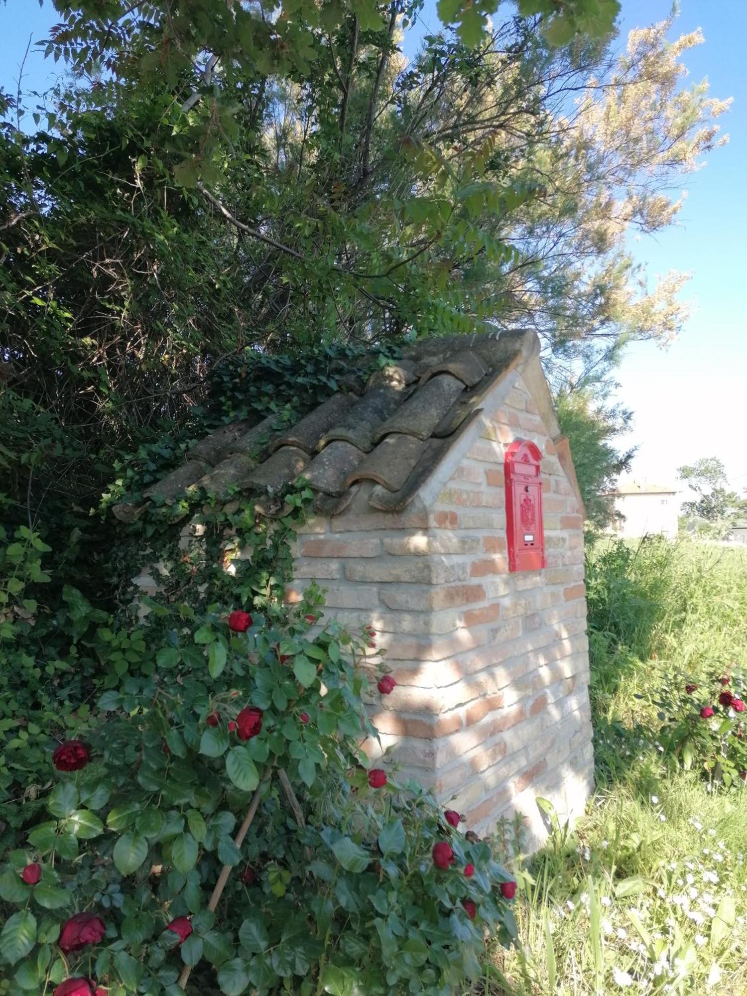 Il Giardino Nella Valle Belvedere Ostrense Dış mekan fotoğraf