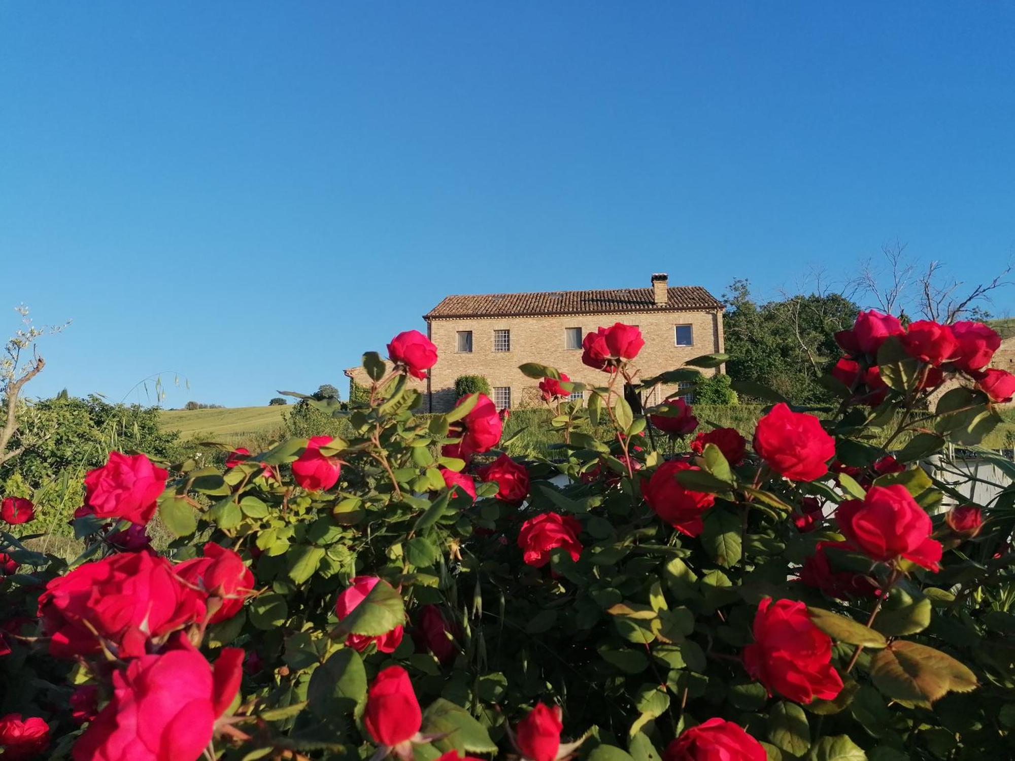 Il Giardino Nella Valle Belvedere Ostrense Dış mekan fotoğraf