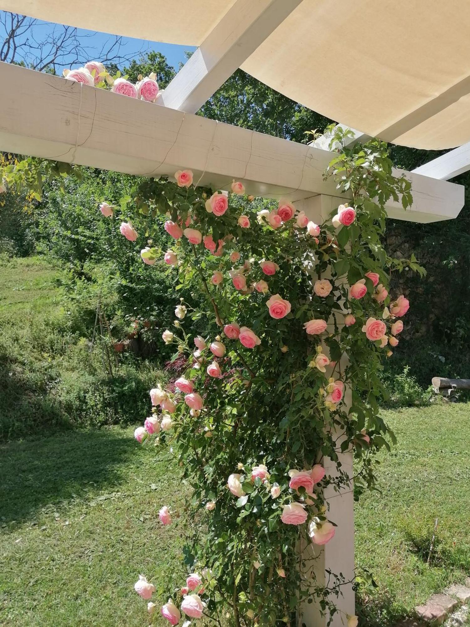 Il Giardino Nella Valle Belvedere Ostrense Dış mekan fotoğraf
