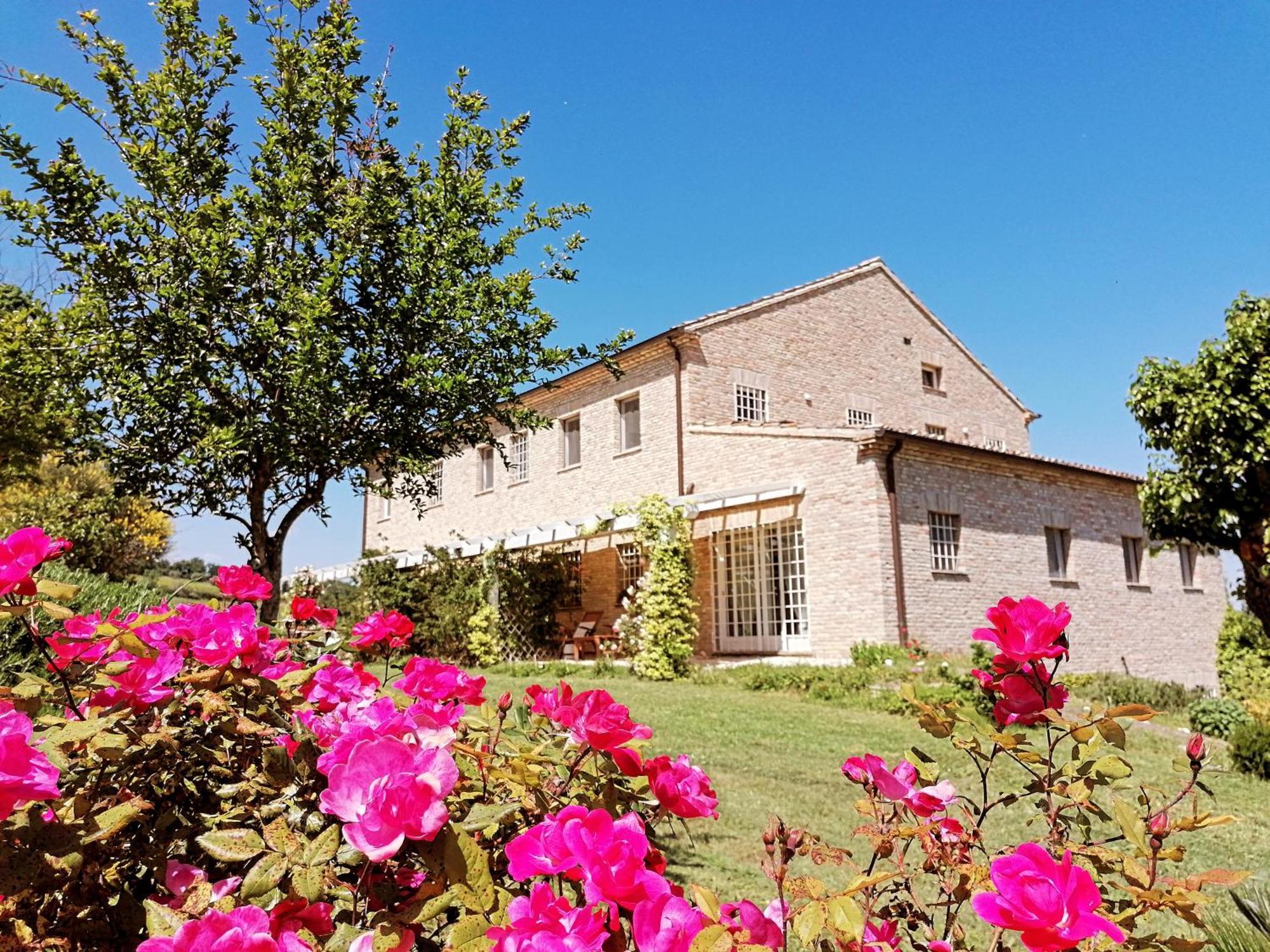 Il Giardino Nella Valle Belvedere Ostrense Dış mekan fotoğraf